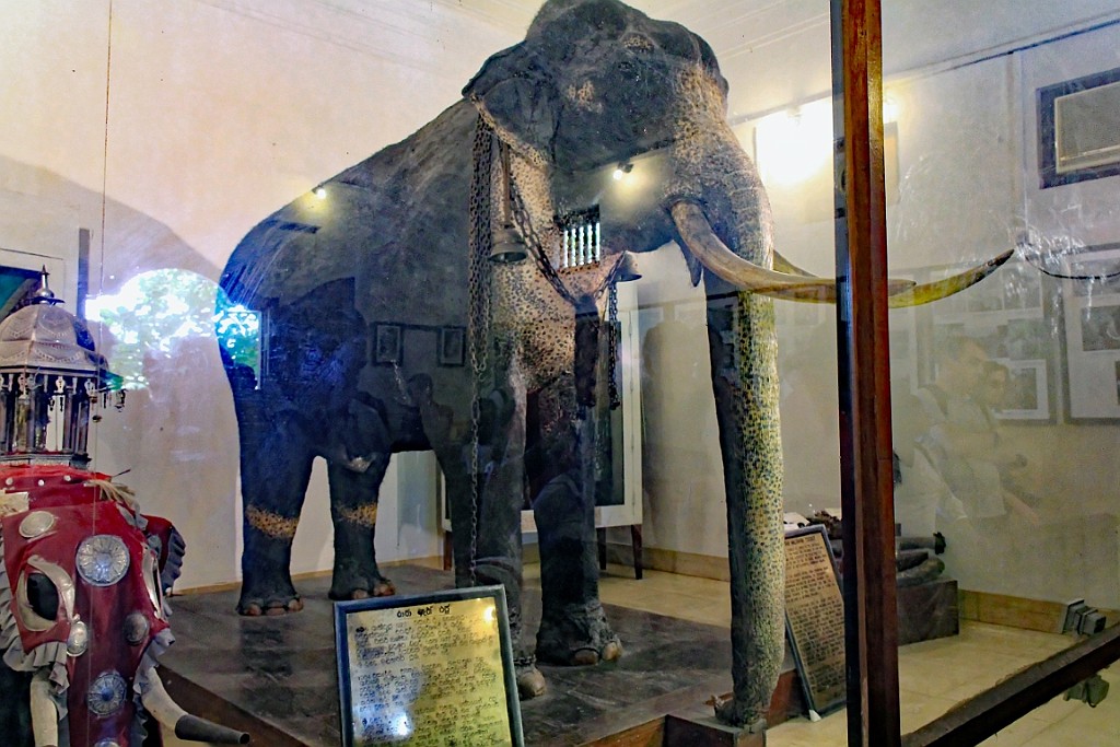 SriLan (751).jpg
